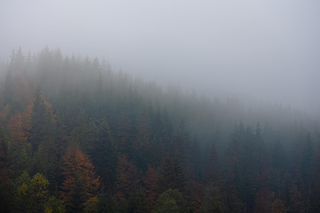 古诗《山村》的意思